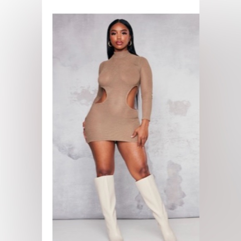 PLT Brown Dress